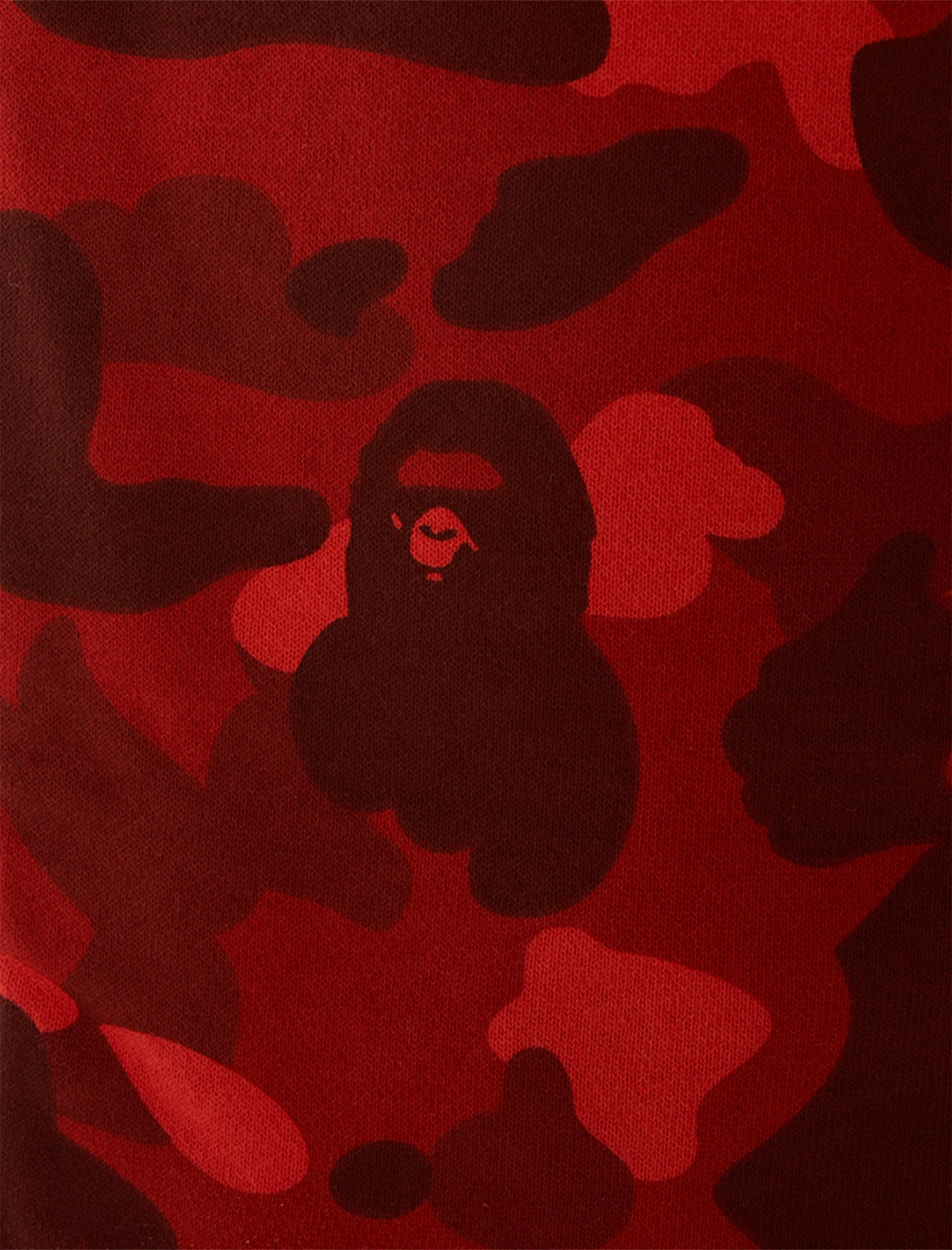 SHARK SWEATSHORTS 2 SHARK SWEATSHORTS - Image 2