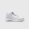 AIR JORDAN 3 "PURE MONEY" GS