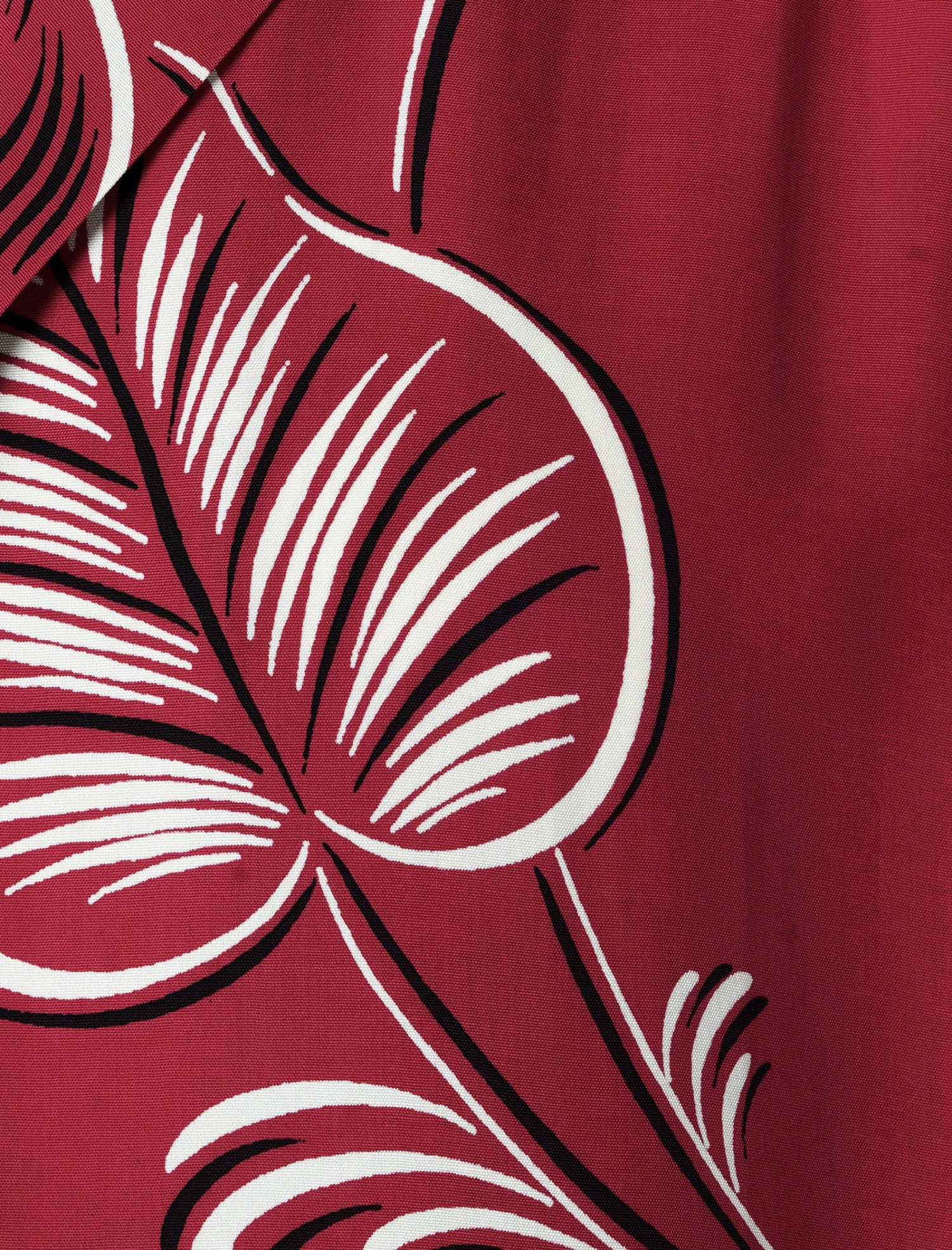 CREEPING BEGONIA SHIRT 2 CREEPING BEGONIA SHIRT - Image 2