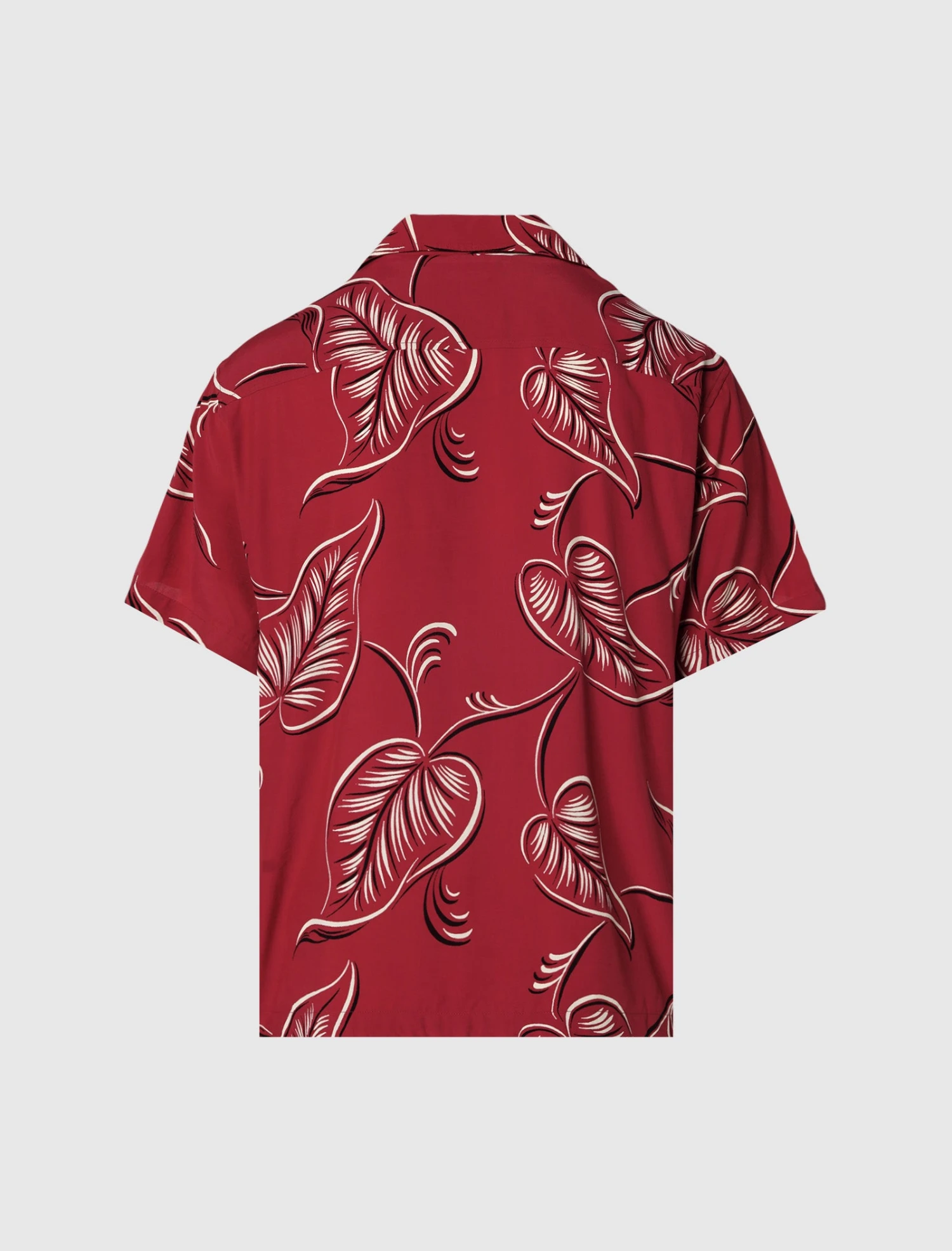 CREEPING BEGONIA SHIRT 3 CREEPING BEGONIA SHIRT - Image 3