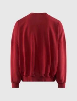 HOOLIGAN CREW SWEATSHIRT 11 HOOLIGAN CREW SWEATSHIRT -Men Fashion WCJSY0021 035 3